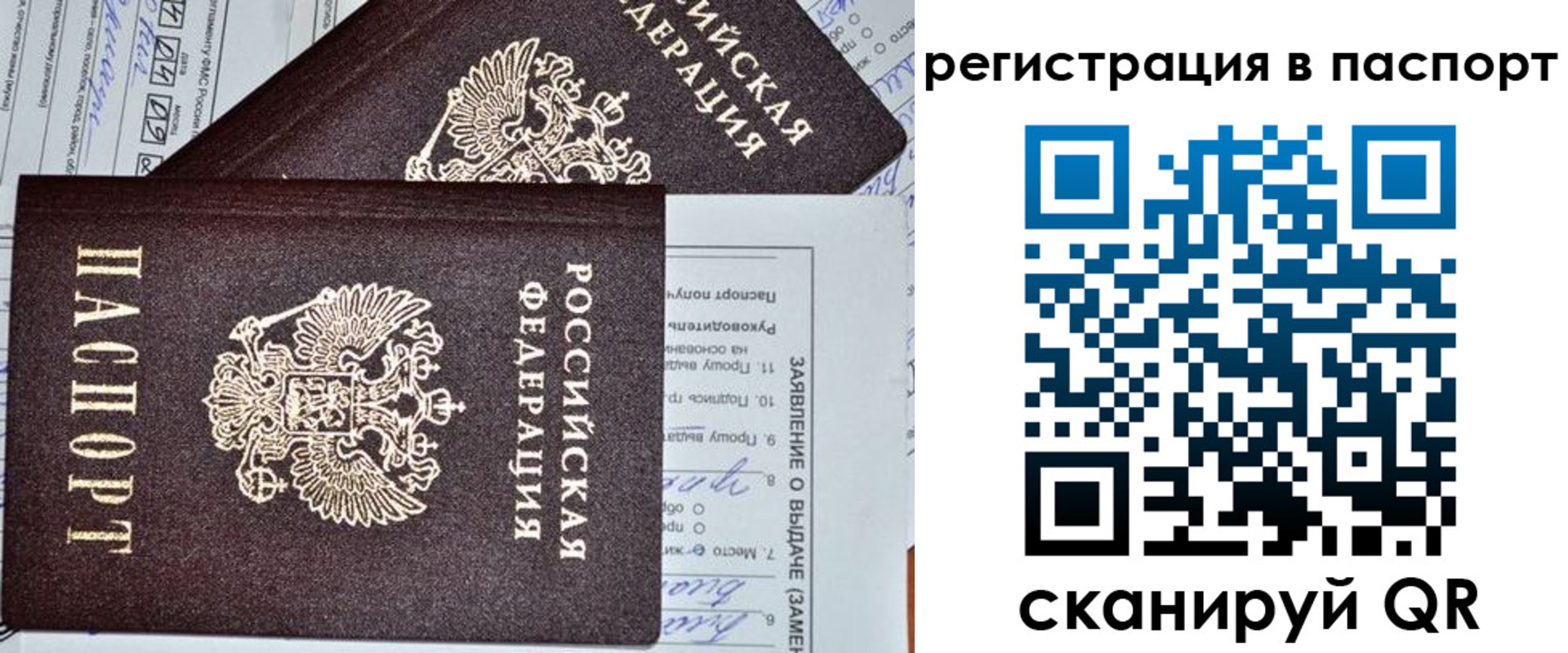 прописка законно в Бокситогорске